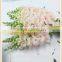 china importers long stem small petals fresh cut antirrhinum flower