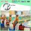 CBFI CE Proved Block Ice Machine Best Quality