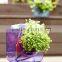 Planters_Cubic Sliding Pot