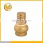 Forged Brass Spring Check valve with plastic core good quality