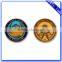 China factory Custom made Phoenix logo engraved air force military challenge coins