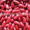 we are supply English red kidney beans with best price for sale