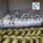 16 gauge galvanized Iron wire