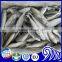 China Light Catch IQF Round Scad for Sale