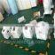 Portable two handpieces IPL machine for permanent Hair Removal & skin rejuvenation