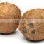 coconut bulk exporter