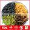 Green red black and golden raisin for wholesale