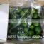 High quality fresh seedless lime lemon from Vietnam