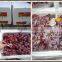 Chinese Fresh Red Grape