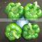 Hot sale sweet pepper/bell pepper/red bell pepper