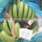 Direct factory price the good quality Ethylene Ripener for banana(12)