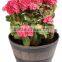 wooden effect Plastic Garden Flower Plant Pot