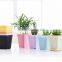 Plastic Colorful Small Square Flower Pots Without Pallet -3 Inch