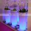 Modern Decoration Outdoor Colorful LED Planter Solar LED Flowerpot