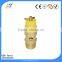 Air Compressor Reed Valves