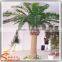 EXPORT TRADE HAUTE COUTURE WIND - RESISTANT UV-RESISTANT PALM TREES
