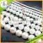 Glass Pearl Beads with Various Sizes,Colorful Glass Pearl Beads