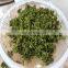 High Efficiency Commercial Food Vegetable Chopper Price