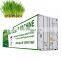 China professional manufacturer 500kg/day automatic barley grass hydroponic green fodder production