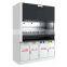 Laboratory medicine Fume cupboard  medical acid resistant fume hood
