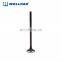 R19 auto engine valve for SYMBOL/CLIO 1.4
