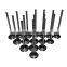 Free Shipping!Intake Exhaust Valves for Chrysler Sebring Dodge Stratus Mitsubishi 2.4 4G64