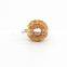 Choke filter Coil Inductor Toroidal Core  Power Inductor 100UH