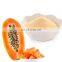 SAMPLE 100% NATURAL CHEAP PRICE PAPAYA POWDER MADE IN VIET NAM