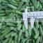 Free of Preservatives and Additives IQF Frozen Cut Green Beans