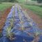 Weed Control Barrier Mat in Roll Fabric / Landscape Ground Cover / PP Woven Fabric for Agriculture