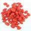 freeze dried Goji berry