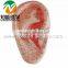 17cm ChineseTroditional Massage Foot Model