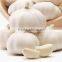 2015 fresh white garlic exporter in china