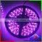 Guaranteed quality best selling colorful decoration3528 led strip waterproof ip68 PU glue
