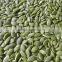 Agriculrure Types of Whosale Pumpkin Seeds /Snow White Pumpkin Seeds Kernel