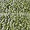 Common Type Chinese Pumpkin Seeds Kernel /Snow White Pumpkin Kernel