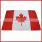 90*150cm decoration flag,blue yellow flag,high quality flag