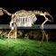 Dinosaur Fossil for Sale High Quality Fossil