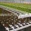 High quality PVC gullies for NFT hydroponics