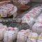 automatic cheap rabbit cages for sale