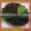 Factory direct supply diammonium phosphate DAP 18-46-0 and NPK compound fertilizer