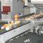 Automatic Pillow Type Shrink Wrapping Machine
