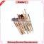 2016 Fashion Private label go pro makeup brushes 12 pcs set                        
                                                Quality Choice