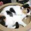 BSCI Pet Factory Wholesale Cat Scratcher Lounge, Cardboard Cat Scratcher Pet Products
