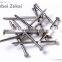 polished & galvanized common nail/wire nails to Doha