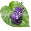 Mini Violin Key Chain Music Box