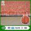 Moss green tennis synthetic artificial mat