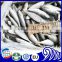 small eye horse mackerel size 80-100 100-120 120-140