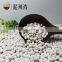 High quality white kidney beans Medium size 2016 crop
