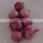 2015 crop fresh red onion for sale with cheap price from China